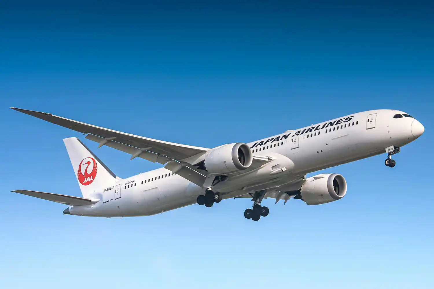 dreamliner boeing 787 Japan