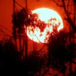 UK Heatwave 2025 - 34°C Temperatures Forecast